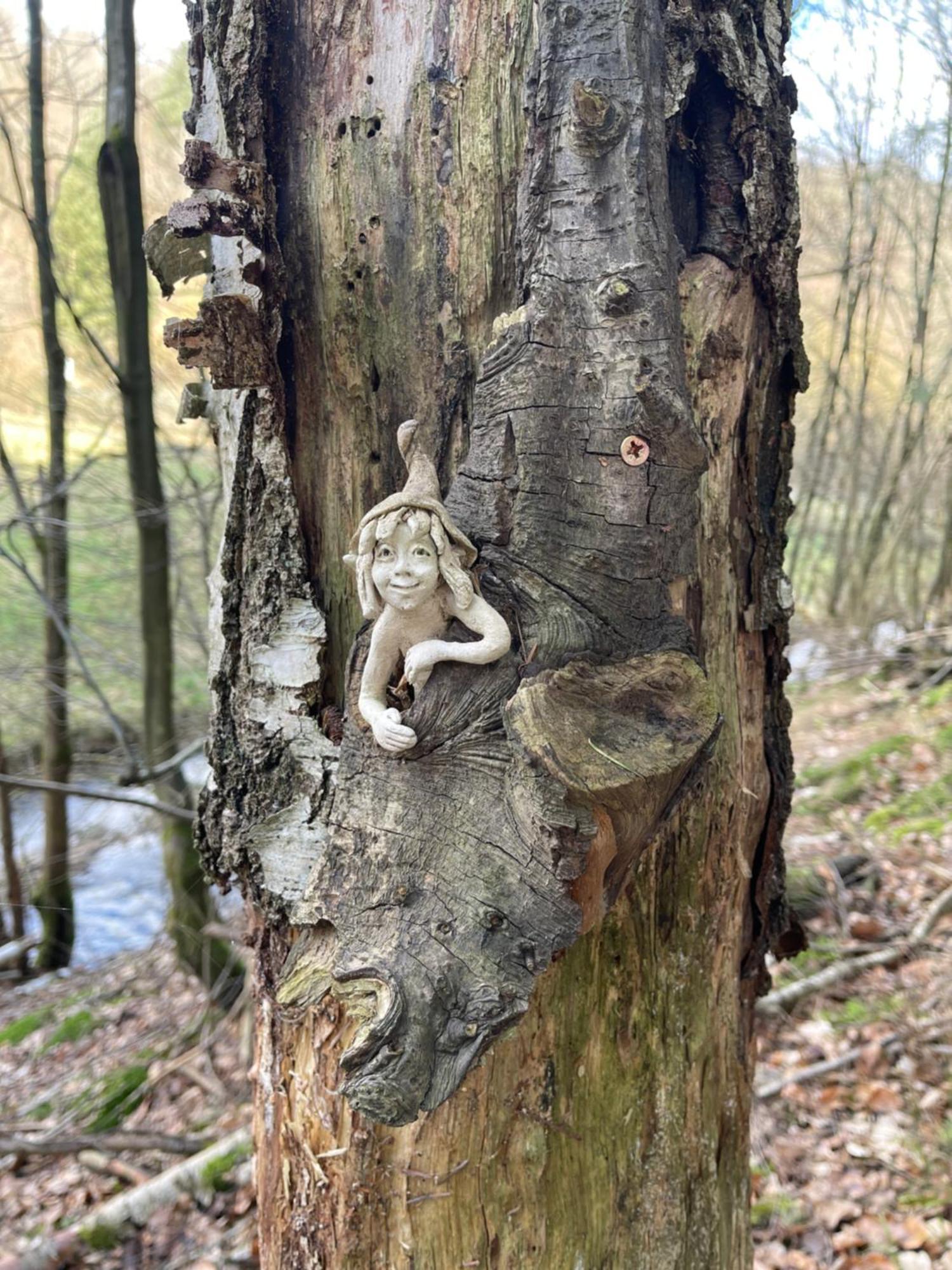 Am Apfelbaum, ein Ferienhaus im Hunsrück Kastellaun Exterior foto